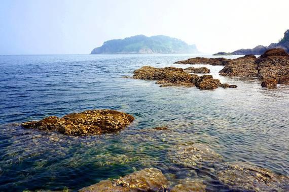 请勿打扰