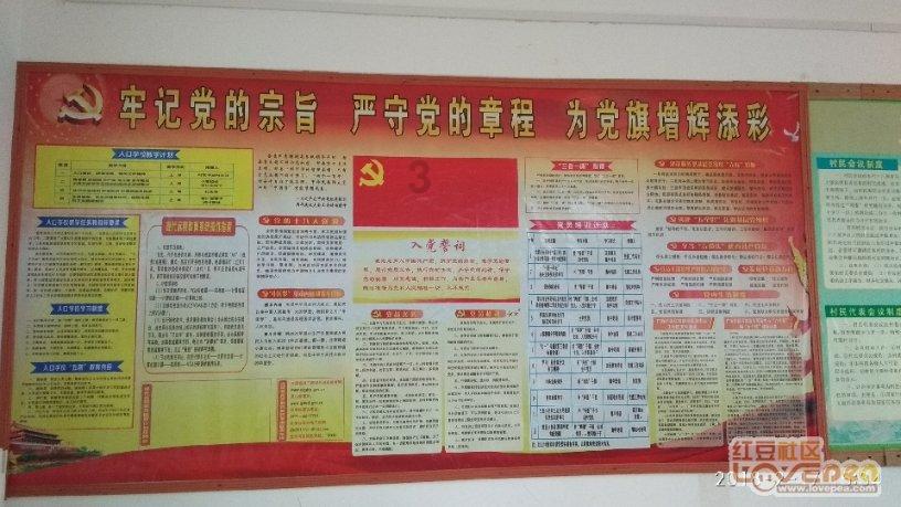 热血无赖