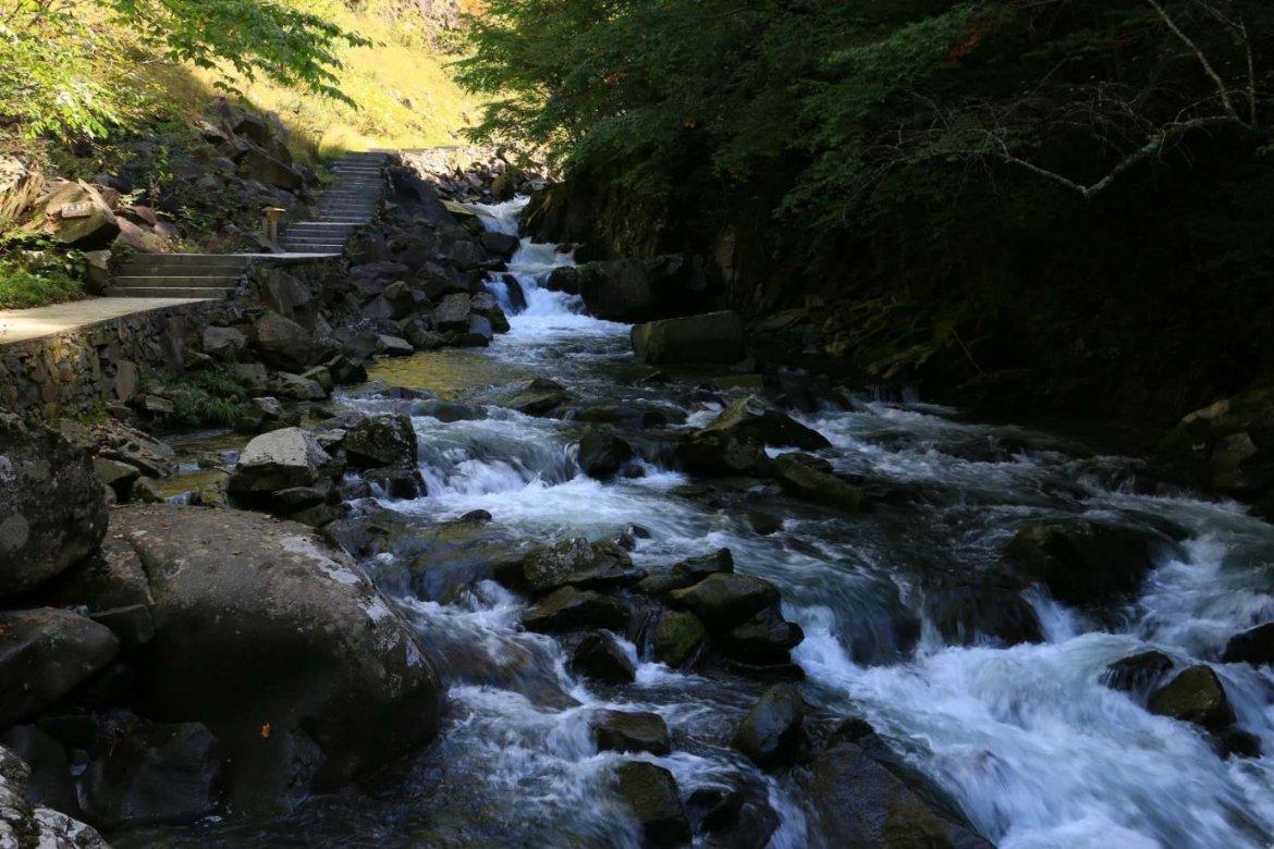 @全国雪友 到龙里油画大草原滑雪场体验冰雪运动激情