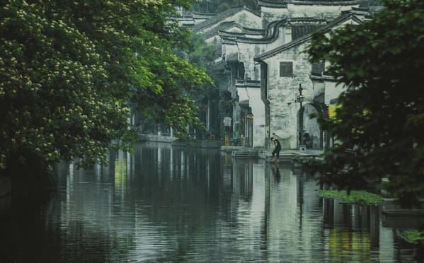 “衣服像解体了,几乎半裸”!25岁中国女子街头被泼化学液体,严重烧伤